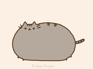 pusheen,fat,cat,sushi cat,art,the cat