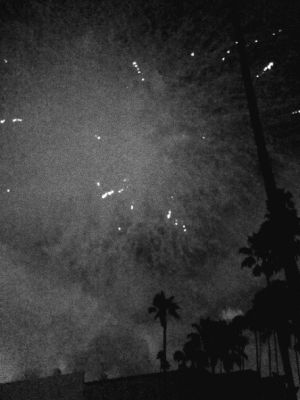 4th of july,black and white,fireworks,palm tree
