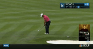 golf,top,business,tour,tiger,ever,pro,woods,worst,insider,channel,around,tiger woods,ve,seen,greens,analyst