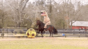 football,horse,dinosaur