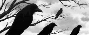 dark,ravens,spooky,anime,nature,creepy