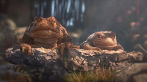 animation,cinemagraph,wildlife,frogs,ribbit