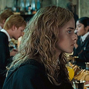 hermione granger,harry potter,ordem da fenix,harry potter e a ordem da fnix,order of the phoenix