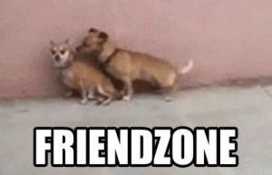 fail,dogs,friendzone