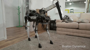 dog,robot,chicken,boston,dances,dynamics