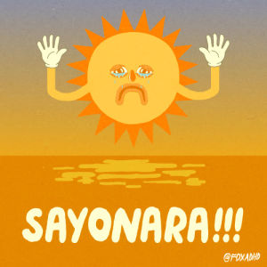 sayonara,fox,sad,summer,artists on tumblr,animation domination,fox adhd,dolphin,seasons,animation domination high def