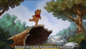 pooh,winnie the pooh,disney,nice,forever,forever isnt long at all when im with you