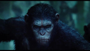 planet of the apes,2014,dawn,animate s