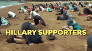 head in sand,wtf,hillary clinton,dumb,dummy,oblivious,ignorant,hillary supporters