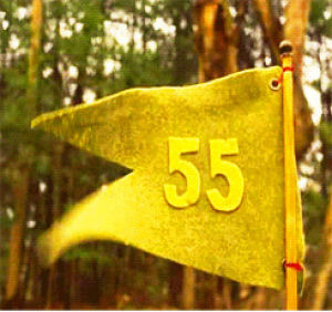 55,wind,wes anderson,moonrise kingdom,flag,woods