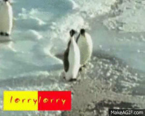 Faceplants Pinguin Pinguim Gif On Gifer By Thunderraven