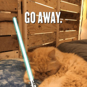 star wars,the force awakens,go away,light saber,cat,episode 7,episode vii