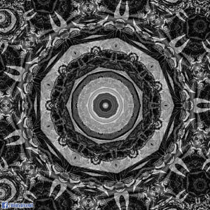psychedelic,mandala,zoom,fractal,kaleidoscope,black,circle,trippy,gray,loop,white,flower