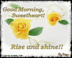 good morning,morning,rise and shine