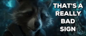 rocket raccoon,guardians of the galaxy vol 2,rocket,bradley cooper,guardians of the galaxy,guardians of the galaxy 2,not good,guardians of the galaxy volume 2,thats a really bad sign