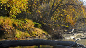 autumn,cinemagraph,river