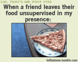 xd,lol so true,funny,dog,fun,food,one direction,pizza,tumblr,black,1d,puppy,niall horan,friend,pet,relatable,niall,pup,lolthatsme,lol thats me,lolsotrue