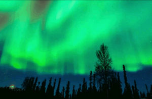 northern lights,aurora borealis,nature