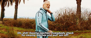 wes anderson,the life aquatic with steve zissou