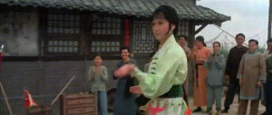 kung fu,fight,women warriors,executioners from shaolin,martial arts,shaw brothers,like a girl,crane style