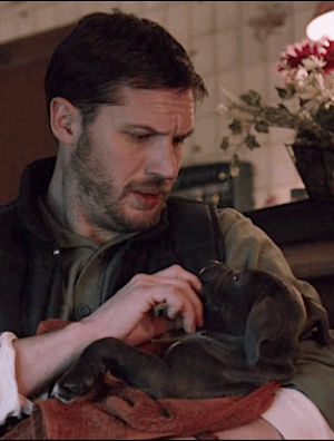 tom hardy,dog lover,the drop,interview,puppy,dogs,james gandolfini,noomi rapace