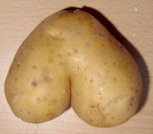 ass,potato