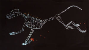 death,animation,dogs,bones,skeletons,alchemyart,tbh i kinda like the still ver better