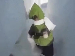 snow,monkey,snowsuit