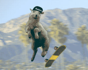 sheep,skateboarding