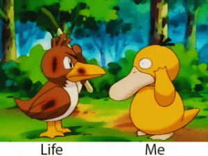 pokemon,life