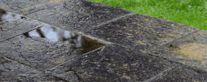 cinemagraph,puddle