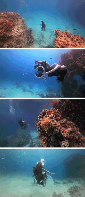 ocean,wheelchair,underwater,swimming in wheelchair