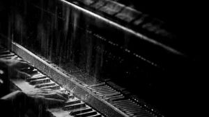 piano,rein,black,black and white