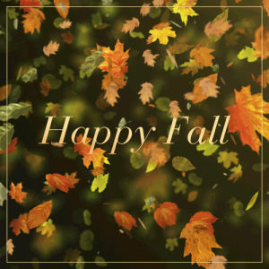 fall,autumn,first day of fall,fall leaves,leaves,olay,best beautiful,fall art,skin care