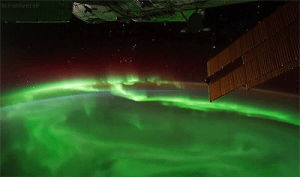 aurora borealis,aurora,science,space,lights,iss,northern,sciuniverse