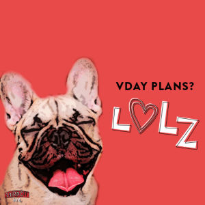 happy valentines day,dog,puppy,heart,valentines day,cheers,valentines,french bulldog,puppy love,smirnoff ice,lets be real