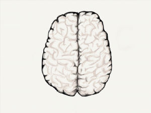 illustration,science,brain,ge,mix,neuroscience,the next frontier