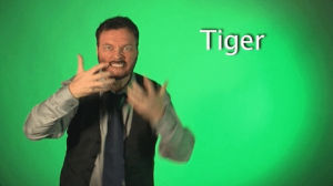 sign language,tiger,sign with robert,asl,deaf,american sign language,swr