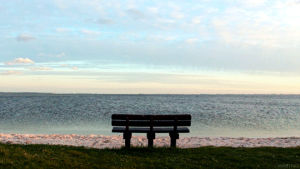 bench,cinemagraph,perfect loop,nature,beach,waves,lake,cinemagraphs,living stills