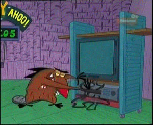angry beavers,tv,90s,tape,vcr,daggett