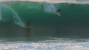 surfing,wave