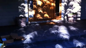 sun,camera,interesting,shade,eclipse,projection,sunlight,sight,causes,foliage,gaps,obscura