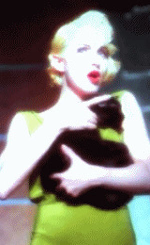 express yourself,cat,madonna,like a prayer,cat lovers