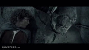 Fellowship of the ring GIF - Find on GIFER