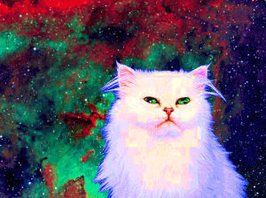 space cat,cat in space