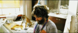 the hangover,movie,scared,running,shocked,tiger,the look