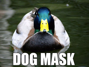 duck,dog,maskwhy