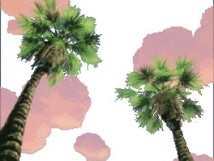 vacation,tropical,transparent siterebloggycom,transparent,palm tree