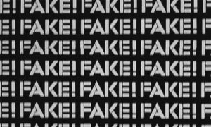 fake,orson welles,f for fake,twinz
