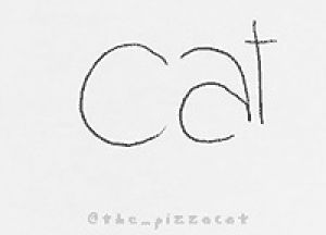 letters,cat
